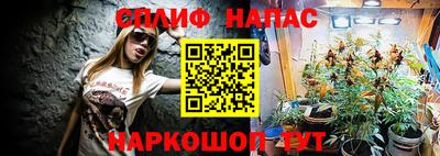 мдпв Ипатово