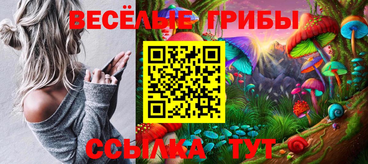 Галлюциногенные грибы MAGIC MUSHROOMS  Вход с VPN  Кунгур  Псилоцибиновые грибы Psilocybine cubensis 